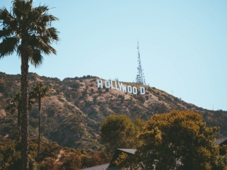 A Hill With Trees And Hollywood Sign