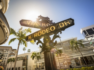 Rodeo Drive street sign with palm trees and sunshine