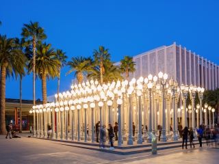 A Group Of Palm Trees With Los Angeles County Museum Of Art In The Background