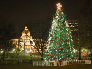 A Large Christmas Tree In Front Of A Building At Night